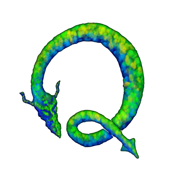 The Quasi Shop logo